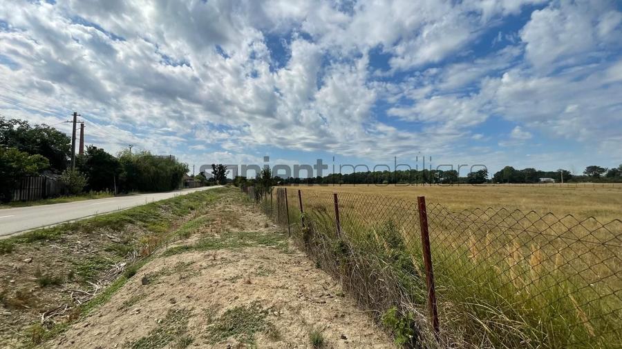 Teren Construcții intravilan de 10000 mp, în Tileagd