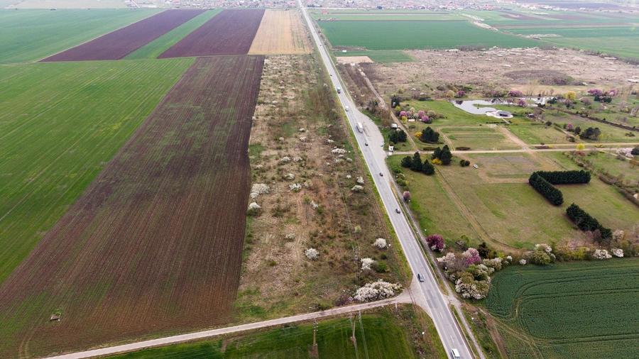 Teren agricol extravilan de 41800 mp, în Vladimirescu