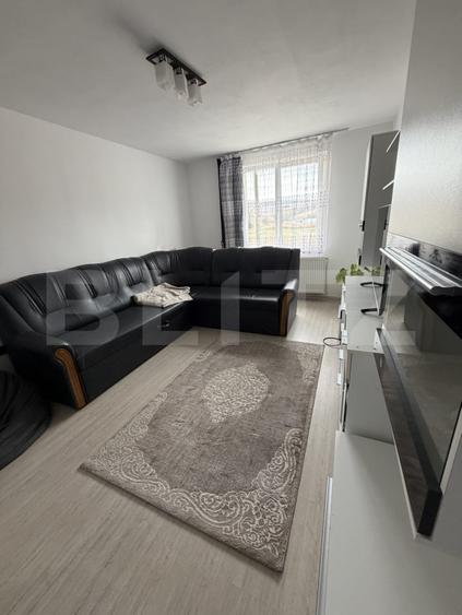 Apartament mobilat/utilat, 46 m2 - Lechinta - 1