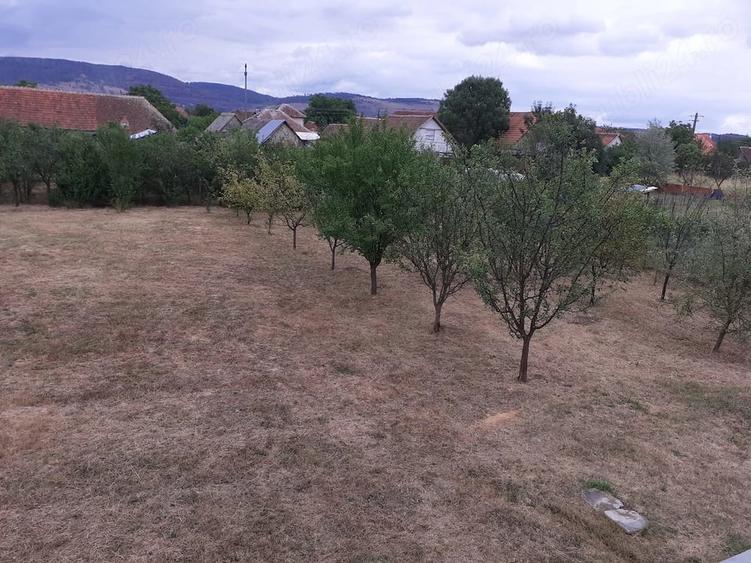 Casă cu Teren 2000 Mp în Central