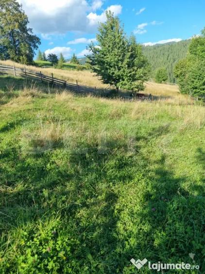 Teren intravilan, zona superba din Campulung Moldovenesc - 6