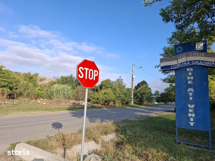 Teren de 4000 mp, în Grădina