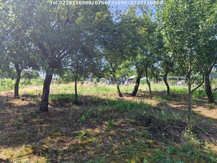 Casă individuală cu 3 camere cu Teren 4721 Mp în Dănești
