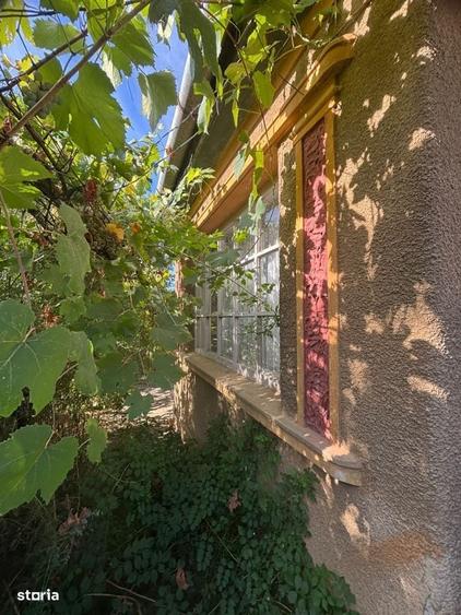 Casă cu 3 camere cu Teren 1741 Mp în Central