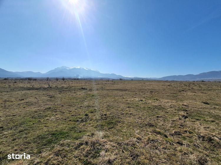 Teren de 3900 mp, în Central