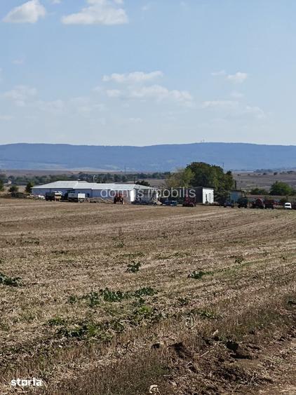 Teren de construit in zona rurala, acces asfaltat