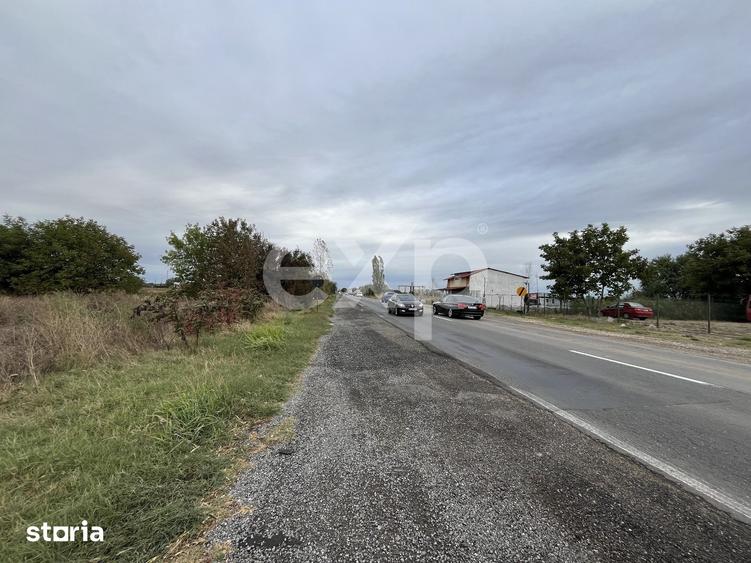 Teren de 15000 mp, în Sud