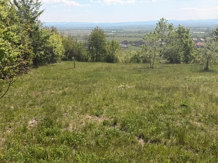Teren Construcții intravilan de 1400 mp, în Buzești
