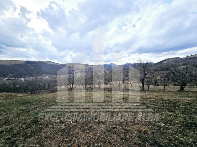 Teren Construcții intravilan de 12211 mp, în Geoagiu de Sus