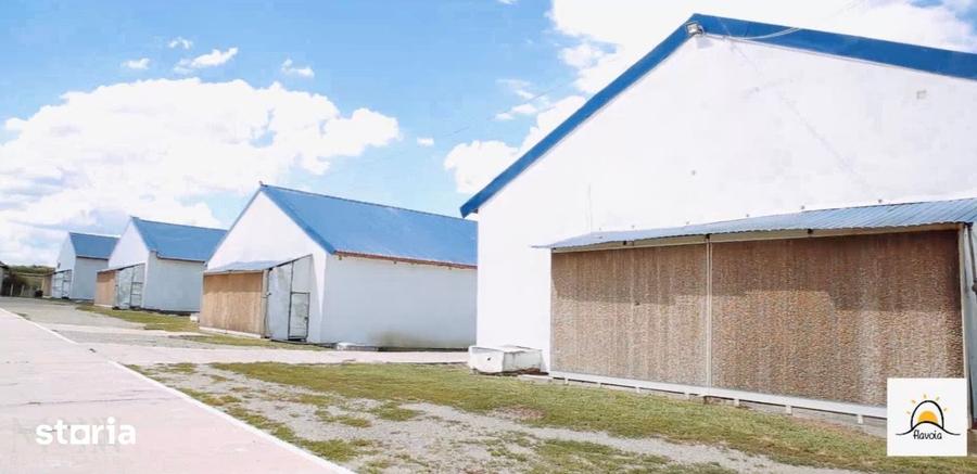 Spațiu comercial, de 3,260 mp, în Măeriște