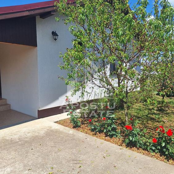 Casa individuala in Ianova,Comuna Remetea Mare - 12