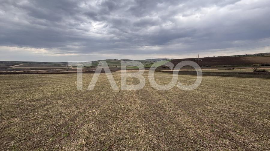 Teren Construcții intravilan de 24000 mp, în Șura Mare