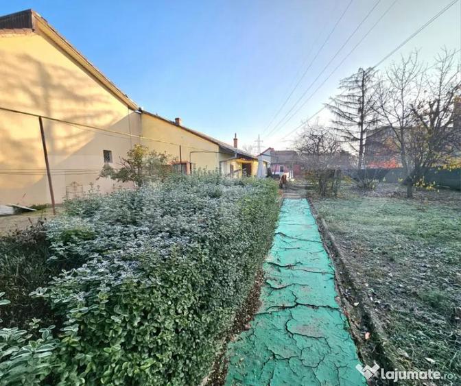 Teren Intravilan + Casa, 2 fronturi, Calea Bogdanesti - 3