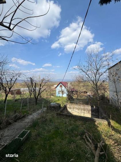 Casă cu 3 camere cu Teren 3300 Mp în Coltău