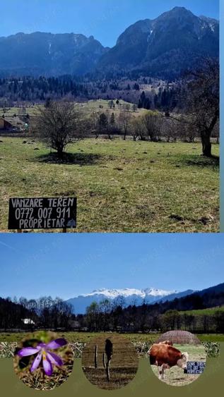 Teren de 440 mp, în Plaiul Foii