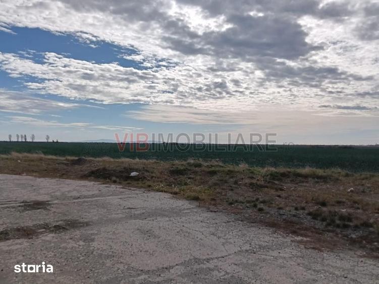 Teren de 13500000 mp, în Central