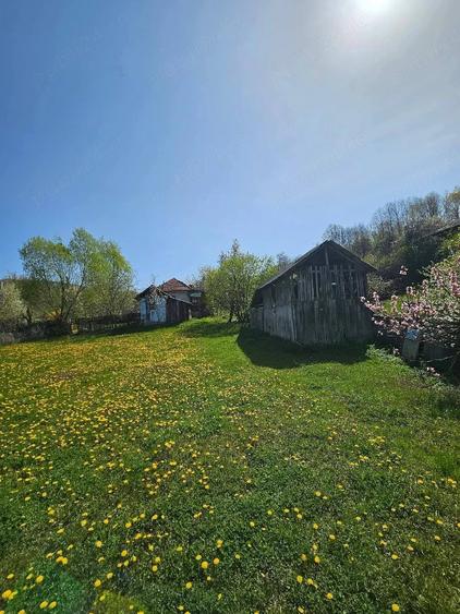 Teren de 3000 mp, în Dăești