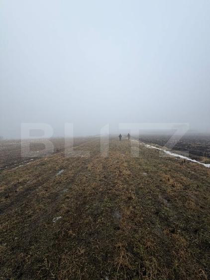 Teren agricol intravilan de 2500 mp, în Periferie