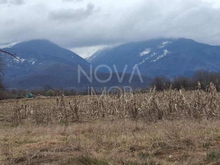 Teren agricol extravilan de 2100 mp, în Arpașu de Sus