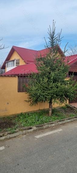 Casă cu 5 camere cu Teren 760 Mp în Central
