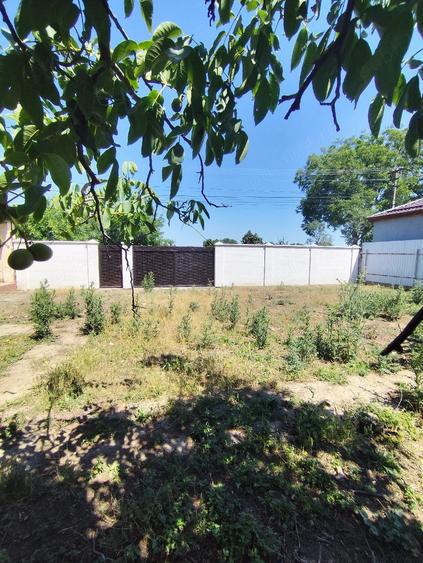 Teren de 1400 mp, în Bodrogu Nou