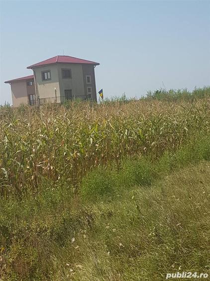 Teren în Siliștea Snagovului