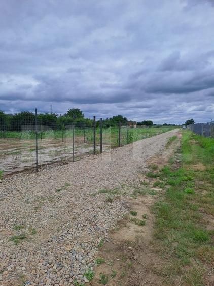 Teren Construcții extravilan de 800 mp, în Careiului