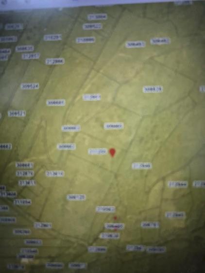Teren de 7600 mp, în Cuvin
