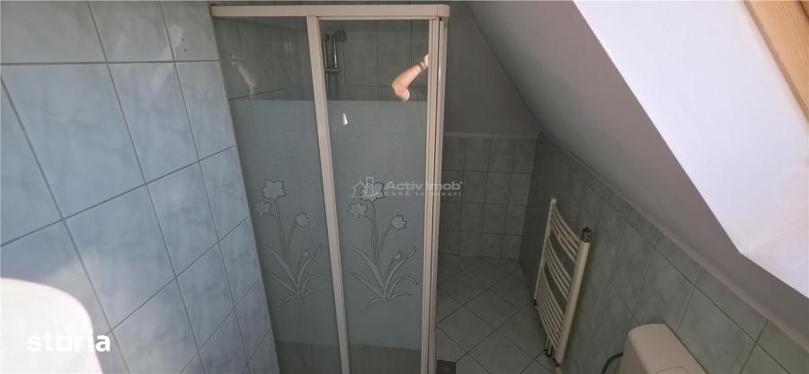 Casă cu 4 camere cu Teren 1219 Mp în Remetea Mare