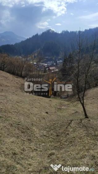 Teren de 5000 mp, în Rucăr
