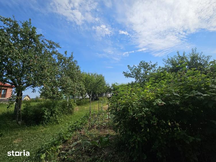 Teren de 1195 mp, în Făget