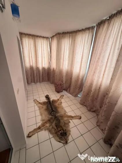 Casă cu 2 camere cu Teren 1267 Mp în Ciorani