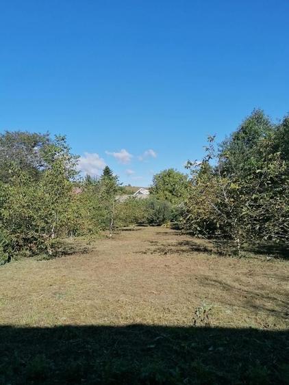 Casă cu 4 camere în Soveja