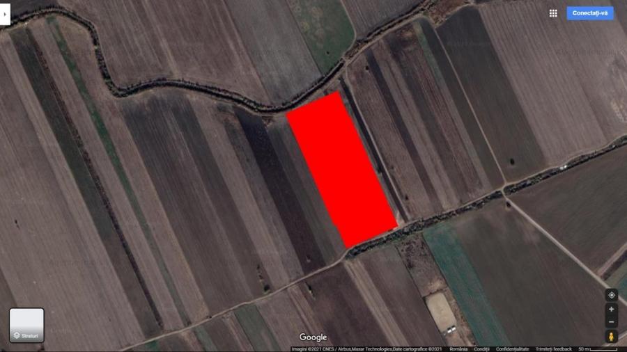 Teren Construcții extravilan de 19000 mp, în Dascălu