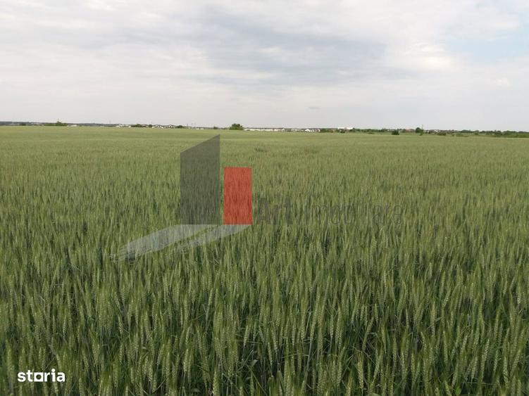 Teren Buftea cu iesire la lac - 14