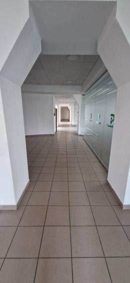 Birou, de 400 mp, în Theodor Pallady