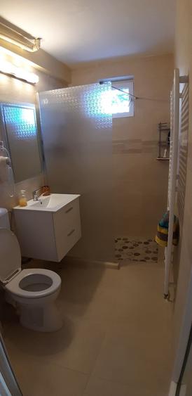Apartament cu 2 camere decomandat în Dosu Bricii