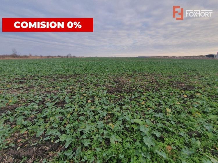 Teren agricol extravilan de 213257 mp, în Sud