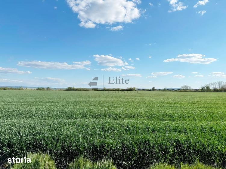 Teren de 6450 mp, în Ineu