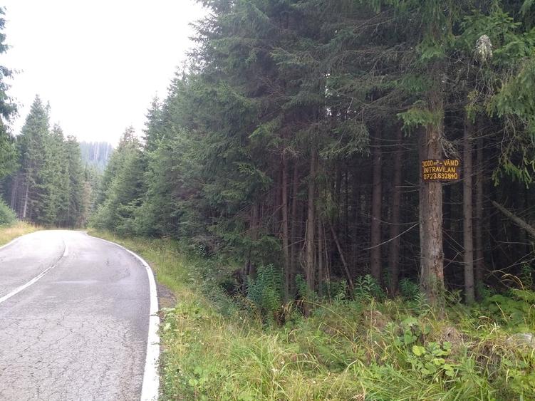 Teren în Vidra