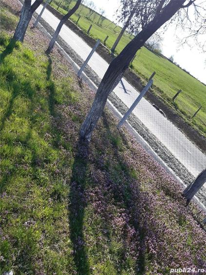 Teren de 4400 mp, în Băița