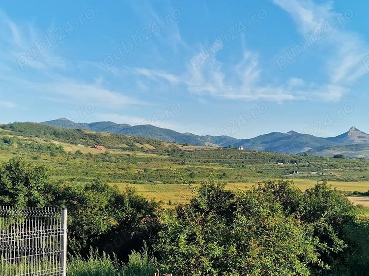 Teren de 1000 mp, în Șard