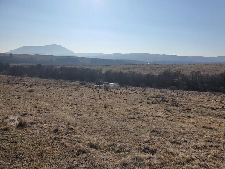 Teren Construcții intravilan de 500 mp, în Vlădeni