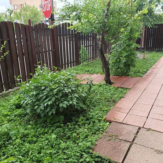 Casă cu 2 camere cu Teren 200 Mp în Central