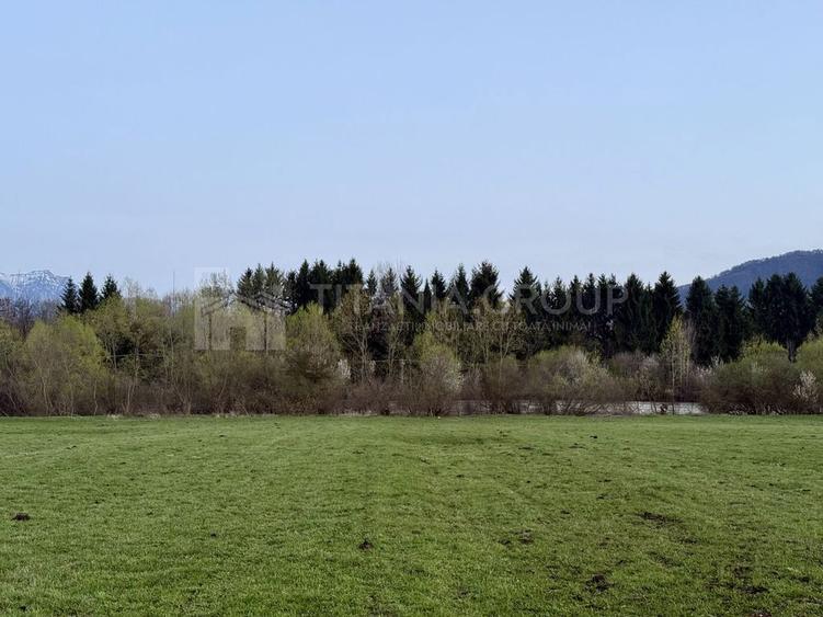 Teren de 7838 mp, în Central