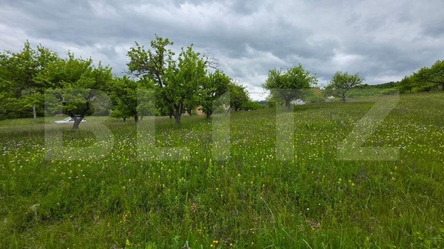 Teren Construcții intravilan de 3400 mp, în Nord