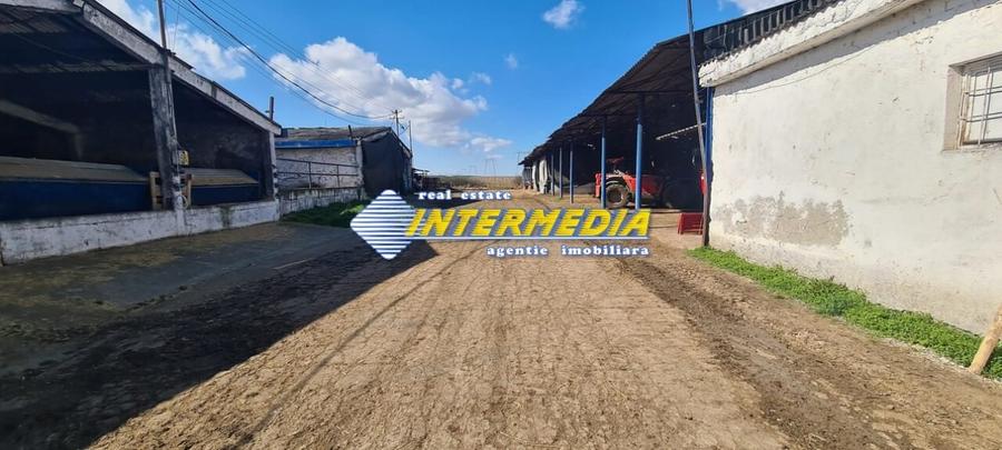 Casă individuală cu 20 camere cu Teren 35000 Mp în Pianu
