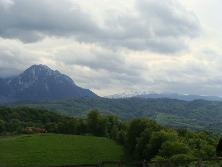 Teren Construcții intravilan de 11600 mp, în Poiana Mărului