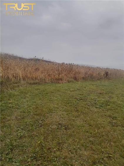 Teren intravilan de 2900 mp, în Corușu