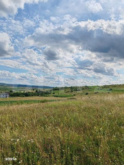 Teren intravilan ideal pentru casa, 4300mp, Deusu -Chinteni - 5